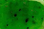 jade